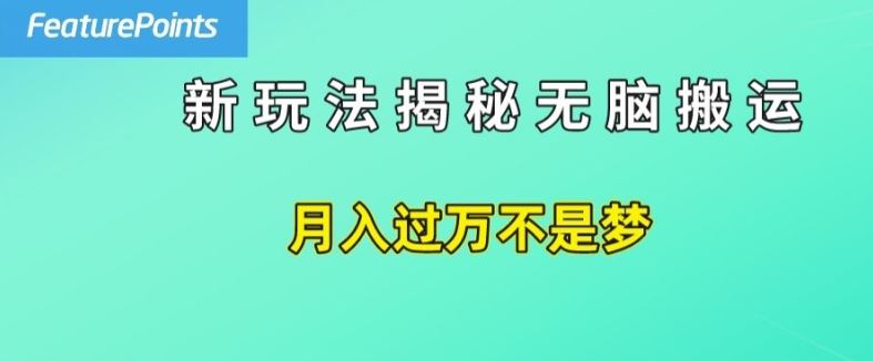简单操作，每天50美元收入，搬运就是赚钱的秘诀【揭秘】-立业有术