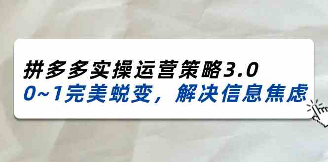 2024-2025拼多多实操运营策略3.0，0~1完美蜕变，解决信息焦虑（38节）-立业有术