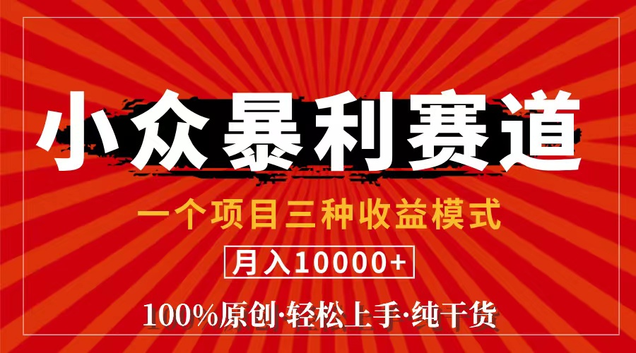 （11695期）视频号【中老年粉深信不疑】小众赛道 100%原创 手把手教学 新号3天收益…-立业有术