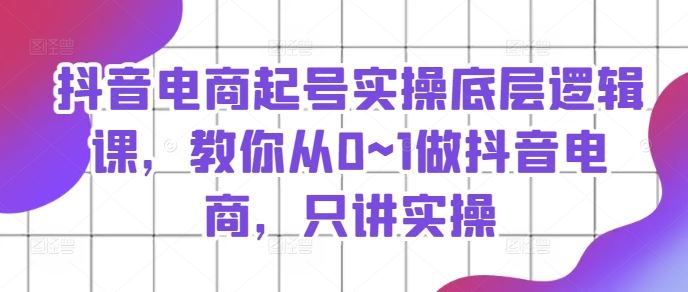 抖音电商起号实操底层逻辑课，教你从0~1做抖音电商，只讲实操-立业有术