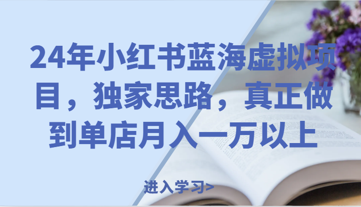 24年小红书蓝海虚拟项目，独家思路，真正做到单店月入一万以上。-立业有术