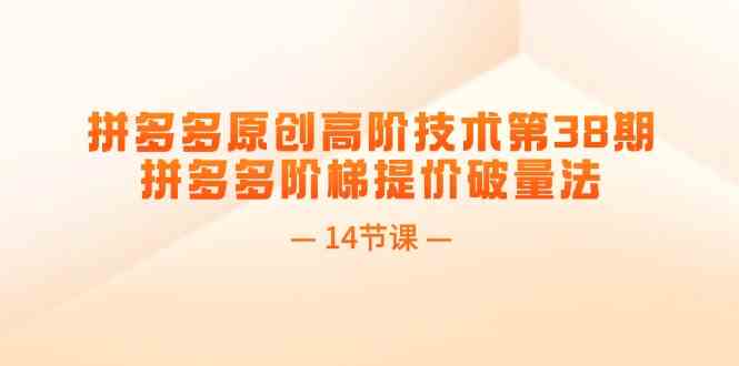拼多多原创高阶技术第38期，拼多多阶梯提价破量法（14节课）-立业有术