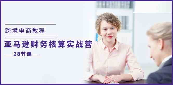 跨境电商教程：亚马逊财务核算实战营（28节课）-立业有术