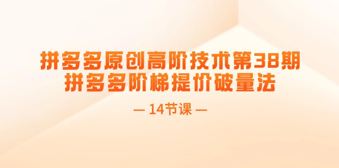 （11704期）拼多多原创高阶技术第38期，拼多多阶梯提价破量法（14节课）-立业有术