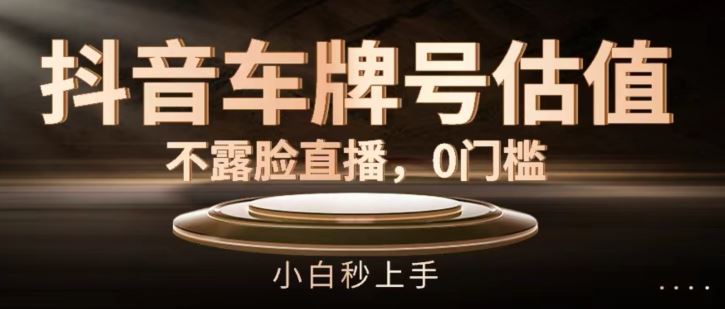 抖音车牌号估值，不露脸直播，0门槛，小白秒上手【揭秘】-立业有术