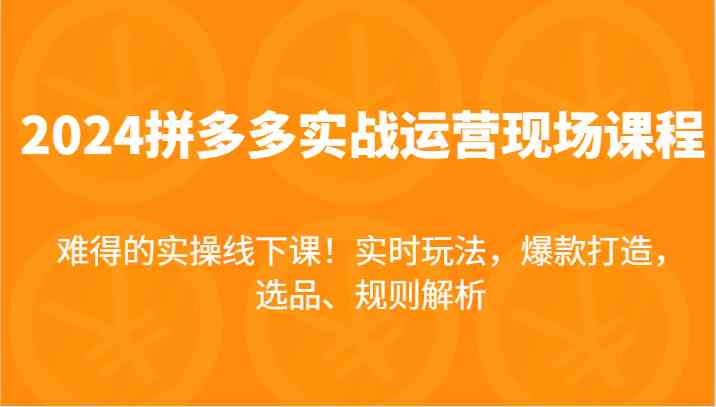 2024拼多多实战运营现场课，实时玩法，爆款打造，选品、规则解析，难得的实操线下课！-立业有术