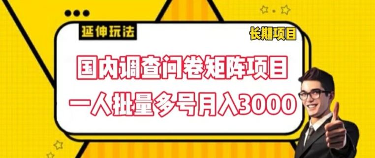 国内调查问卷矩阵项目，一人批量多号月入3000【揭秘】-立业有术