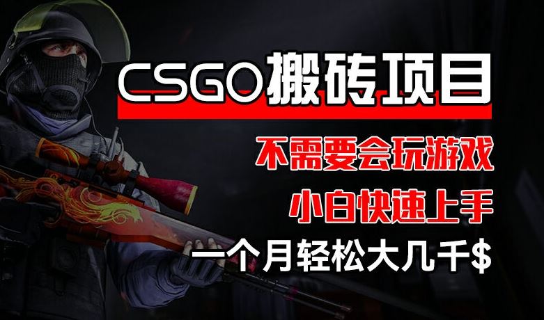 CSGO 装备搬砖项目，操作简单，不需要会玩游戏，小白也能快速上手，一个月轻松大几千【揭秘】-立业有术
