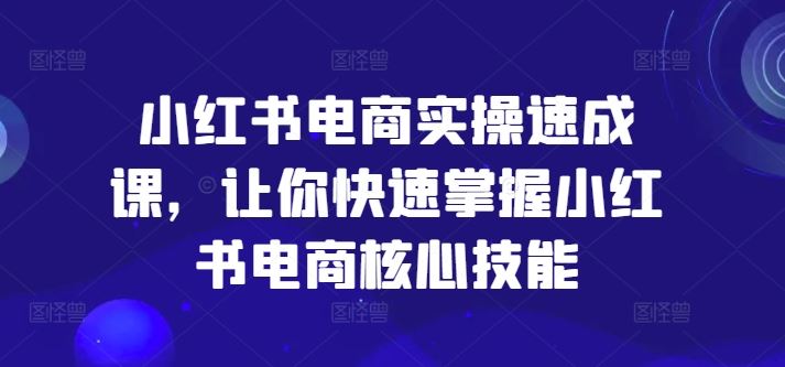 小红书电商实操速成课，让你快速掌握小红书电商核心技能-立业有术