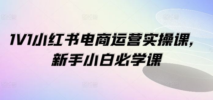 1V1小红书电商运营实操课，新手小白必学课-立业有术
