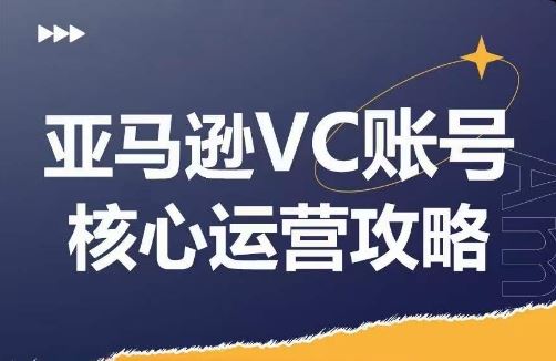 亚马逊VC账号核心玩法解析，实战经验拆解产品模块运营技巧，提升店铺GMV，有效提升运营利润-立业有术