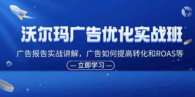 沃尔玛广告优化实战班，广告报告实战讲解，广告如何提高转化和ROAS等-立业有术