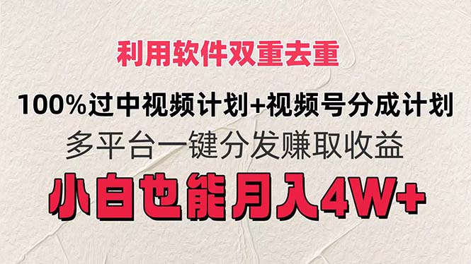 （11862期）利用软件双重去重，100%过中视频+视频号分成计划小白也可以月入4W+-立业有术