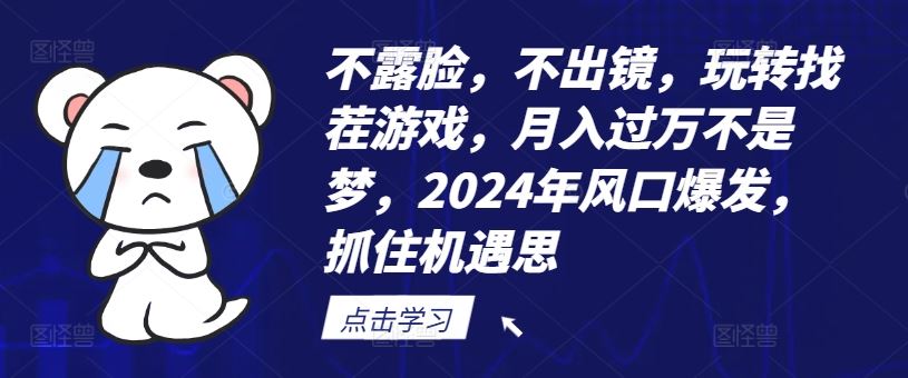 不露脸，不出镜，玩转找茬游戏，月入过万不是梦，2024年风口爆发，抓住机遇【揭秘】-立业有术
