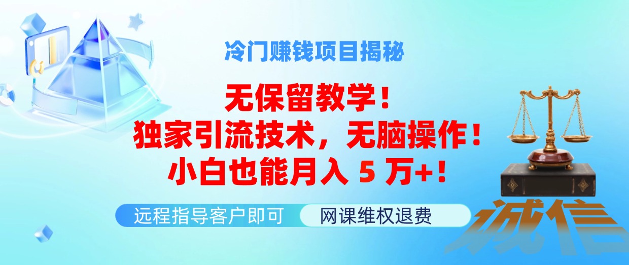（11864期）冷门赚钱项目无保留教学！独家引流技术，无脑操作！小白也能月入5万+！-立业有术