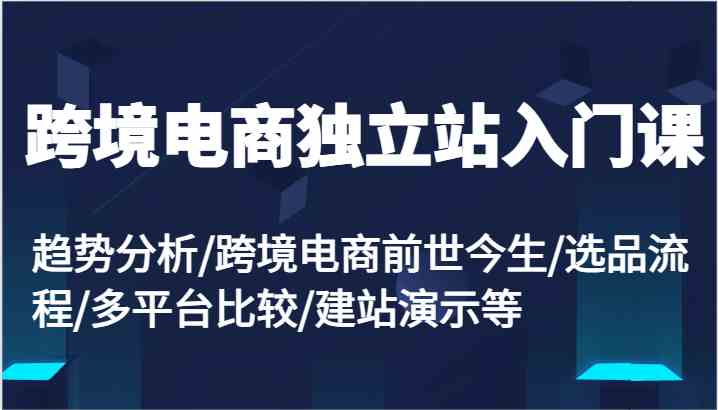 跨境电商独立站入门课：趋势分析/跨境电商前世今生/选品流程/多平台比较/建站演示等-立业有术