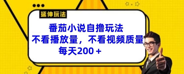 番茄小说自撸玩法，不看播放量，不看视频质量，每天200+【揭秘】-立业有术