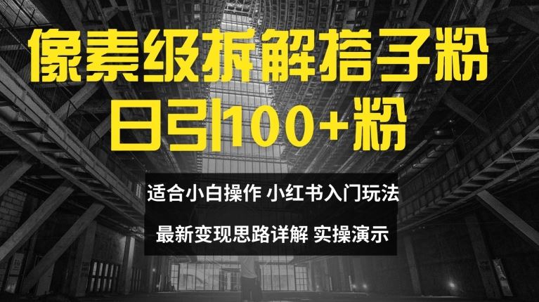 像素级拆解搭子粉，日引100+，小白看完可上手，最新变现思路详解【揭秘】-立业有术