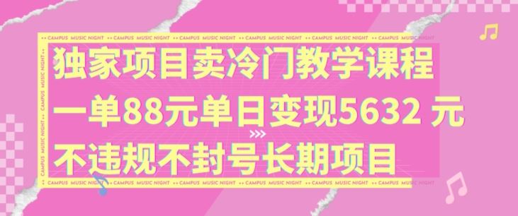 独家项目卖冷门教学课程一单88元单日变现5632元违规不封号长期项目【揭秘】-立业有术