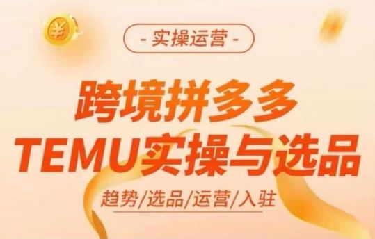 跨境拼多多TEMU实操与选品，多多temu跨境选品运营实操-立业有术