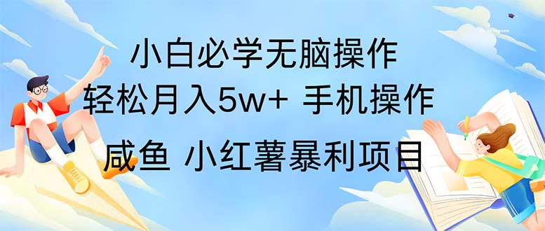 （11953期）2024热门暴利手机操作项目，简单无脑操作，每单利润最少500-立业有术