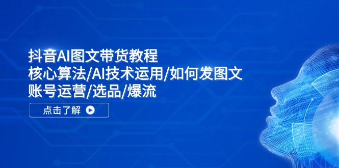 （11958期）抖音AI图文带货教程：核心算法/AI技术运用/如何发图文/账号运营/选品/爆流-立业有术