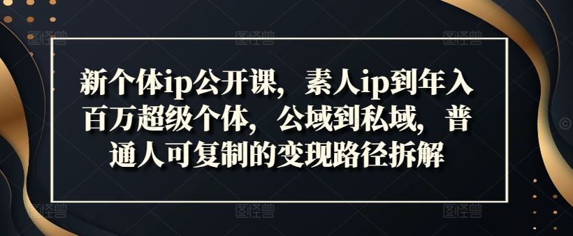 新个体ip公开课，素人ip到年入百万超级个体，公域到私域，普通人可复制的变现路径拆解-立业有术