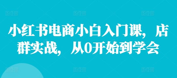 小红书电商小白入门课，店群实战，从0开始到学会-立业有术