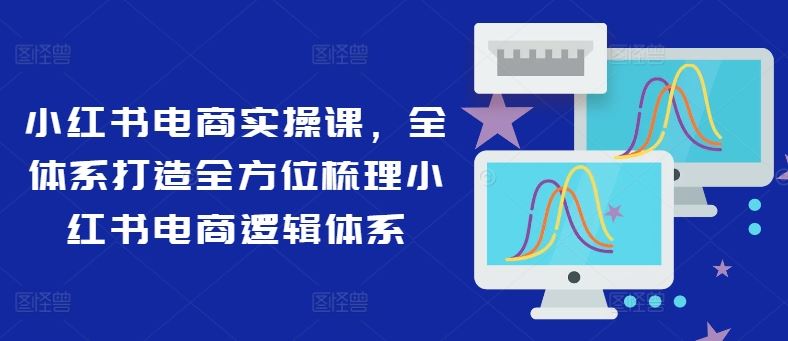 小红书电商实操课，全体系打造全方位梳理小红书电商逻辑体系-立业有术