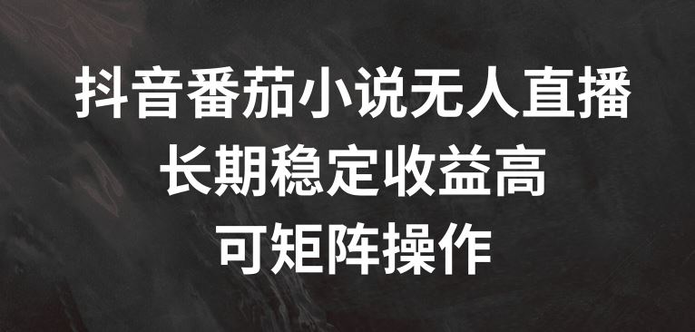 抖音番茄小说无人直播，长期稳定收益高，可矩阵操作【揭秘】-立业有术