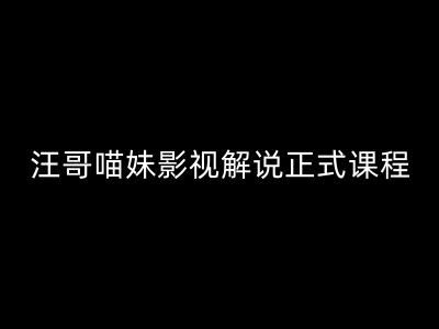 汪哥影视解说正式课程：剪映/PR教学/视解说剪辑5大黄金法则/全流程剪辑7把利器等等-立业有术