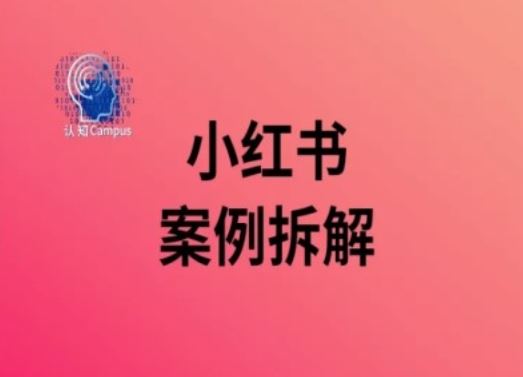 小红书案例拆解，深度解读小红书40万粉-立业有术
