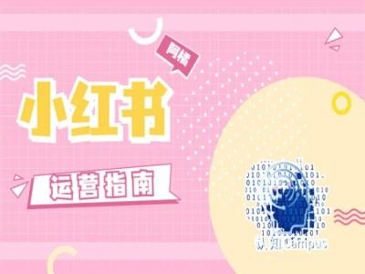 小红书运营指南，没有套路，全是经验-立业有术