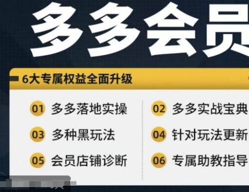拼多多会员，拼多多实战宝典+实战落地实操，从新手到高阶内容全面覆盖-立业有术