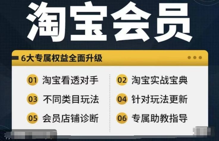 淘宝会员【淘宝所有课程，全面分析对手】，初级到高手全系实战宝典-立业有术