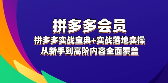 （12056期）拼多多 会员，拼多多实战宝典+实战落地实操，从新手到高阶内容全面覆盖-立业有术