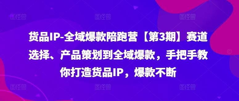 货品IP全域爆款陪跑营【第3期】赛道选择、产品策划到全域爆款，手把手教你打造货品IP，爆款不断-立业有术