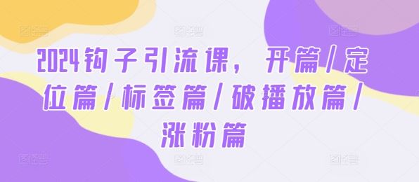 2024钩子引流课，开篇/定位篇/标签篇/破播放篇/涨粉篇-立业有术