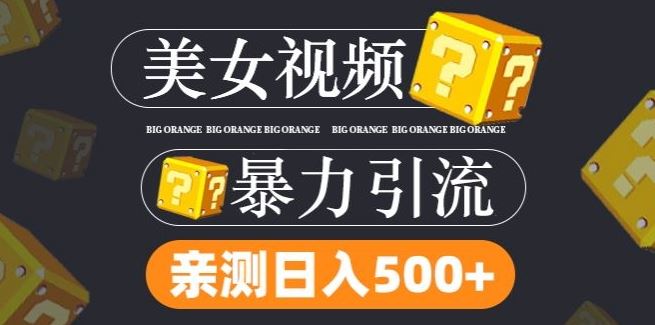 搬运tk美女视频全网分发，日引s粉300+，轻松变现，不限流量不封号【揭秘】-立业有术