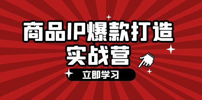 （12136期）商品-IP爆款打造实战营【第四期】，手把手教你打造商品IP，爆款 不断-立业有术