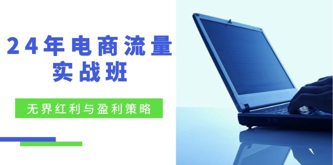 （12168期）24年电商流量实战班：无界 红利与盈利策略，终极提升/关键词优化/精准…-立业有术