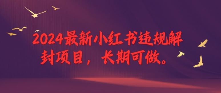 2024最新小红书违规解封项目，长期可做，一个可以做到退休的项目【揭秘】-立业有术