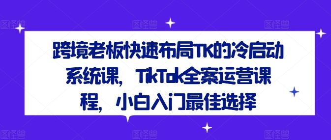跨境老板快速布局TK的冷启动系统课，TikTok全案运营课程，小白入门最佳选择-立业有术