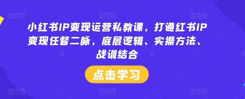 小红书IP变现运营私教课，打通红书IP变现任督二脉，底层逻辑、实操方法、战训结合-立业有术