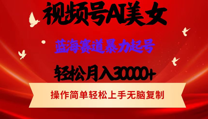 （12178期）视频号AI美女跳舞，轻松月入30000+，蓝海赛道，流量池巨大，起号猛，当…-立业有术