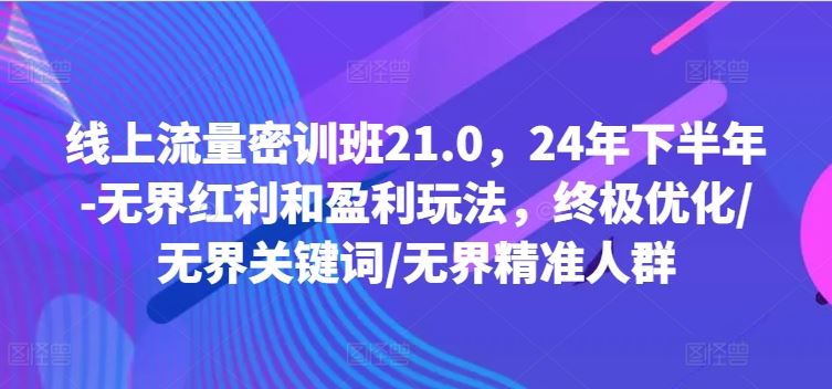 线上流量密训班21.0，24年下半年-无界红利和盈利玩法，终极优化/无界关键词/无界精准人群-立业有术