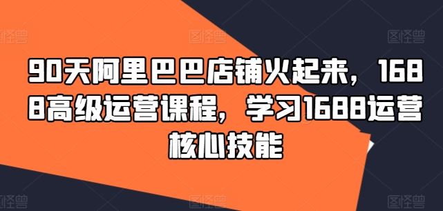 90天阿里巴巴店铺火起来，1688高级运营课程，学习1688运营核心技能-立业有术