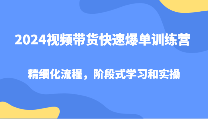 2024视频带货快速爆单训练营，精细化流程，阶段式学习和实操-立业有术