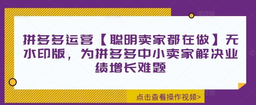 拼多多运营【聪明卖家都在做】无水印版，为拼多多中小卖家解决业绩增长难题-立业有术