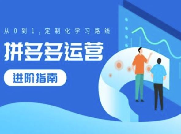 拼多多运营进阶指南，从0到1定制化学习路线-立业有术